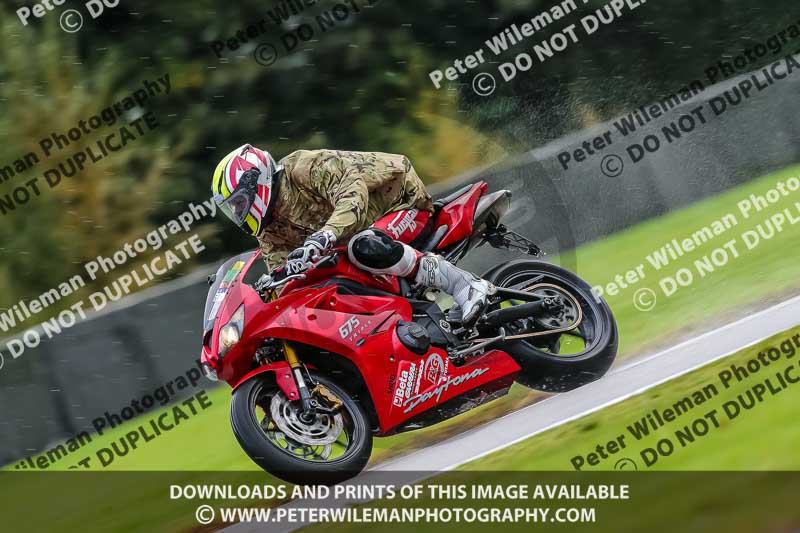 PJ Motorsport Photography 2020;anglesey;brands hatch;cadwell park;croft;donington park;enduro digital images;event digital images;eventdigitalimages;mallory;no limits;oulton park;peter wileman photography;racing digital images;silverstone;snetterton;trackday digital images;trackday photos;vmcc banbury run;welsh 2 day enduro